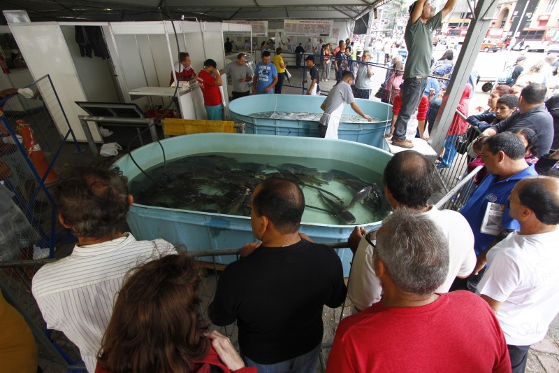 Assados e pescado vivo são opções em Feira do Peixe em Porto Alegre