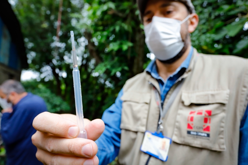 Rio Grande Do Sul Registra Terceira Morte Por Dengue Em 2023