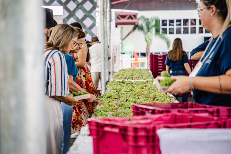 Festa da Uva recebe cerca de 40 mil visitantes nos três primeiros dias