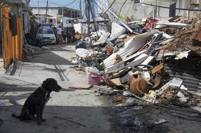 No início do mês, 68 pessoas morreram com a passagem do furacão Irma