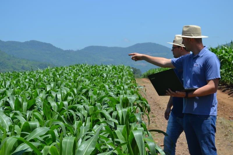 Governo quer fortalecer cooperativas para fomentar a organização coletiva dos agricultores familiares