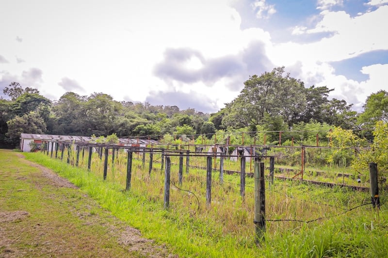 Local ocupa uma área total de 3,5 hectares, sendo 2,5 hectares de produção