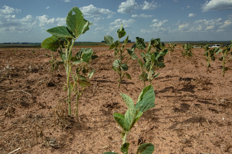 Situação impacta fortemente setor agrícola e deve se agravar