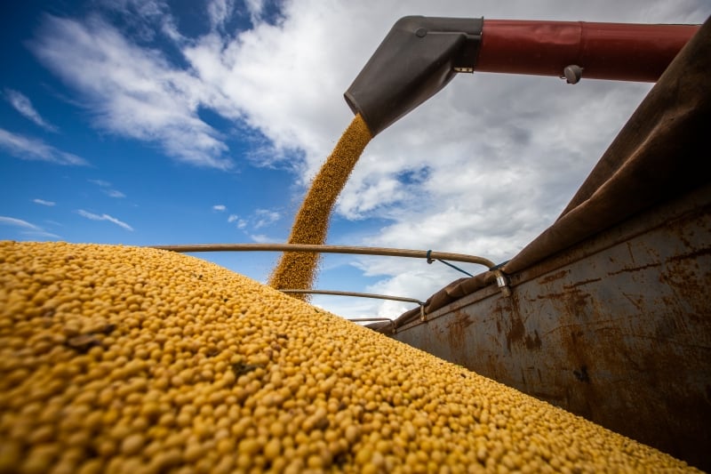 Pessoas jurídicas e físicas do setor do agro devem ter atenção especial para a gestão contábil dos negócios, cuja complexidade está ligada à diversidade de atividades que envolvem a cadeia produtiva