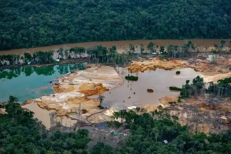 Pelo menos 308 yanomamis morreram em 2023 devido a crise humanitária causada pelo garimpo