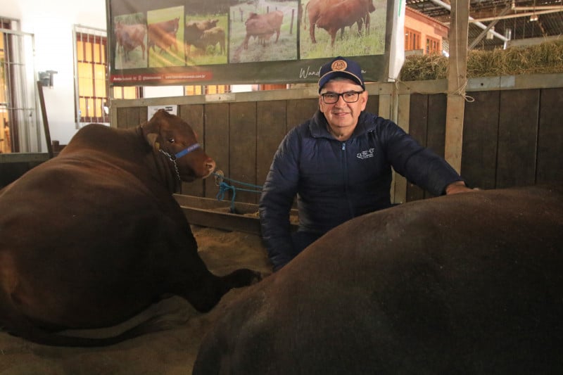 Wanderley Corona registrou os primeiros animais da raça 