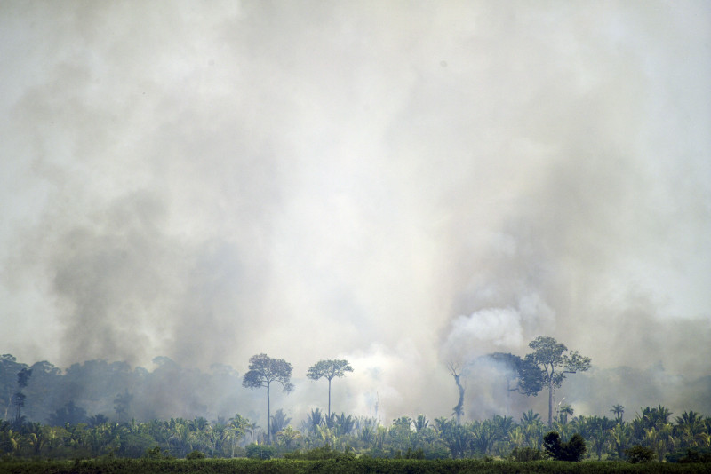  Mato Grosso, Roraima e Pará foram os estados mais atingidos por incêndios