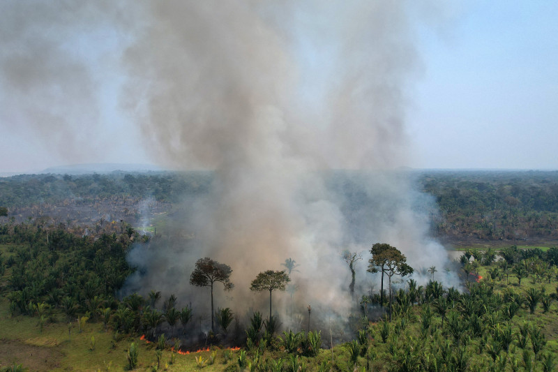 Biomas como Amazônia e Pantanal sofrem com intensificação de problemas ambientais