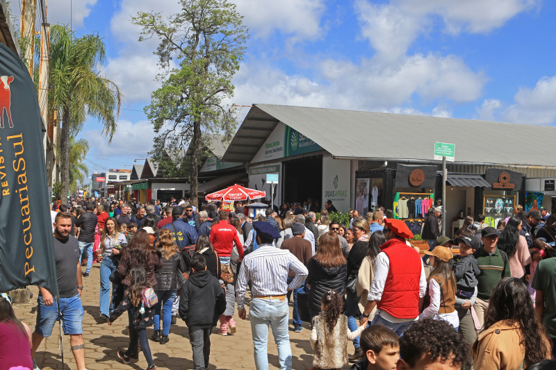 Lançamento oficial do projeto deve ocorrer na próxima edição da Expointer, em Esteio