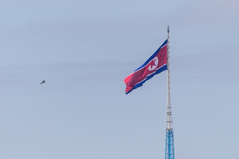 Soldados norte-coreanos estariam se infiltrando em pelotões russos