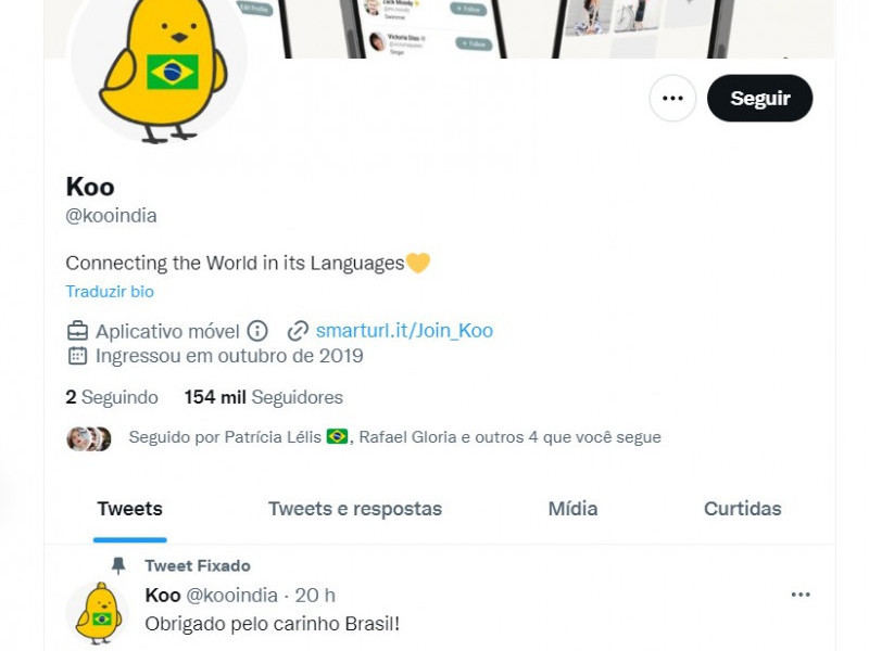 Sucesso entre brasileiros fez rede social indiana colocar bandeira do Brasil na imagem do perfil