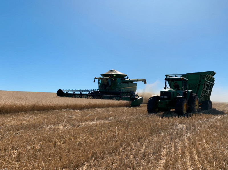 O clima seco no País afeta diversas culturas agrícolas e contribui para uma alta superior a 6% nos preços dos alimentos neste ano