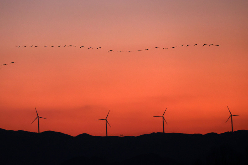 Somados, os complexos totalizarão mais de 1,1 mil MW de potência