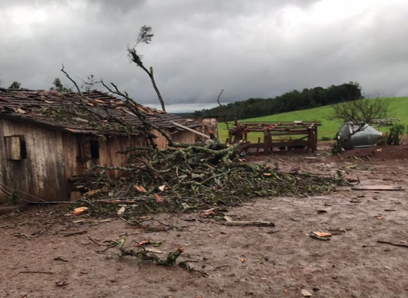 A passagem do ciclone provocou queda de árvores e destelhamento de casas em várias cidades