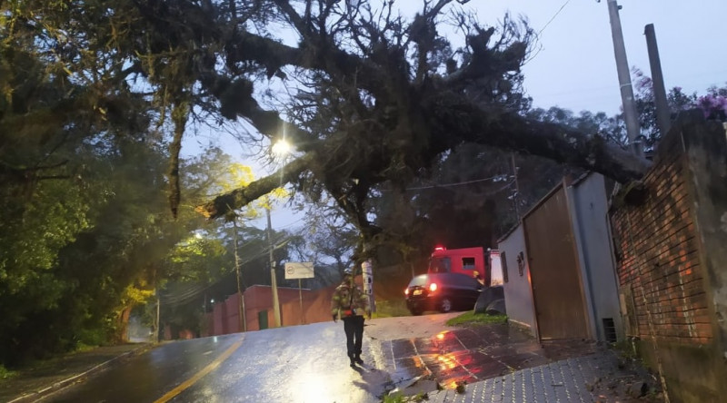 No final da manhã, 780 mil pontos do RS estavam sem luz devido aos fortes ventos 