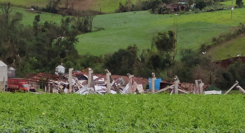 Ciclone provocou destruição e mortes de animais em Sede Nova, no Noroeste gaúcho