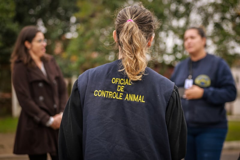 Equipes de recenseadores iniciaram as pesquisas no bairro Sarandi