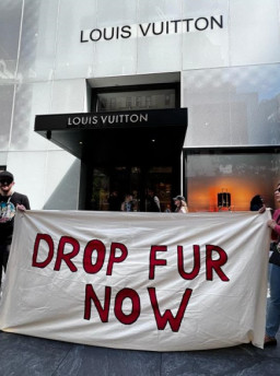 Louis Vuitton em Nova York é alvo de protesto contra uso de pele de animais