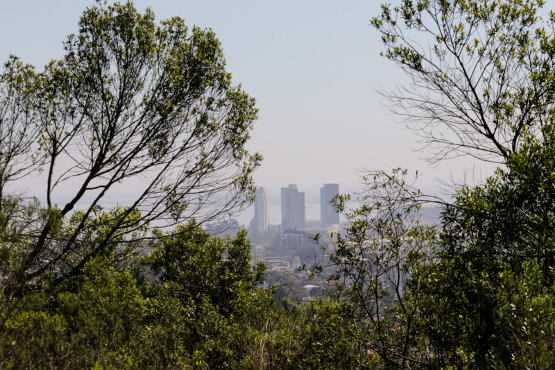 Parque Natural Morro do Osso, em Porto Alegre, é uma Unidade de Conservação da Mata Atlântica