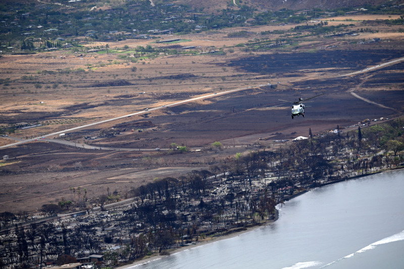 Incêndios de 8 de agosto mataram pelo menos 115 pessoas e deixaram centenas de desaparecidos