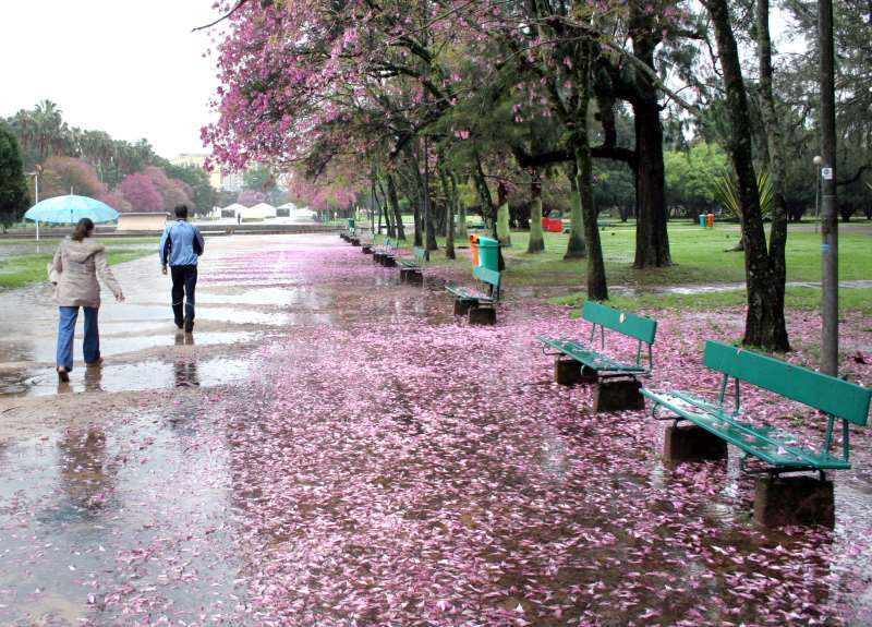 Estação das flores será marcada por temporais e chuvas intensas ao longo do período