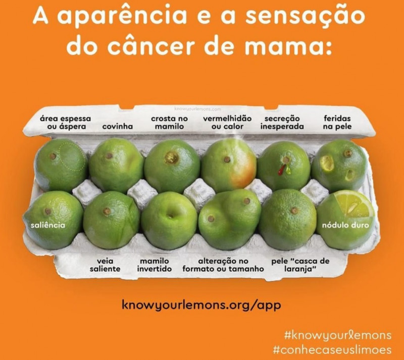 {'nm_midia_inter_thumb1':'https://www.jornaldocomercio.com/_midias/jpg/2023/10/02/206x137/1_folder_know_your_lemons-10346963.jpg', 'id_midia_tipo':'2', 'id_tetag_galer':'', 'id_midia':'651b59f2c4892', 'cd_midia':10346963, 'ds_midia_link': 'https://www.jornaldocomercio.com/_midias/jpg/2023/10/02/folder_know_your_lemons-10346963.jpg', 'ds_midia': 'Folder explicando os 12 sinais para detectar o câncer de mama..O material foi desenvolvido pela fundação Know Your Lemons', 'ds_midia_credi': 'Know Your Lemons/Divulgação/JC', 'ds_midia_titlo': 'Folder explicando os 12 sinais para detectar o câncer de mama..O material foi desenvolvido pela fundação Know Your Lemons', 'cd_tetag': '1', 'cd_midia_w': '800', 'cd_midia_h': '714', 'align': 'Left'}