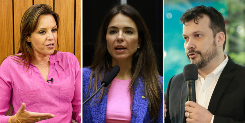 Nadine Anflor, Any Ortiz e Artur Lemos são nomes cogitados para as próximas eleições de Porto Alegre