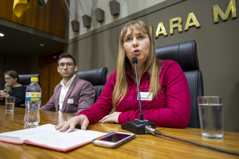 Michele Bartzen Acosta Schröder, ex-servidora da Smed de Porto Alegre, durante depoimento nas CPIs da Smed