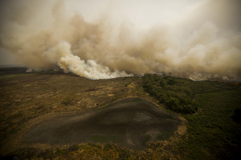 Grupo focará principalmente em queimadas no Pantanal e seca na Amazônia