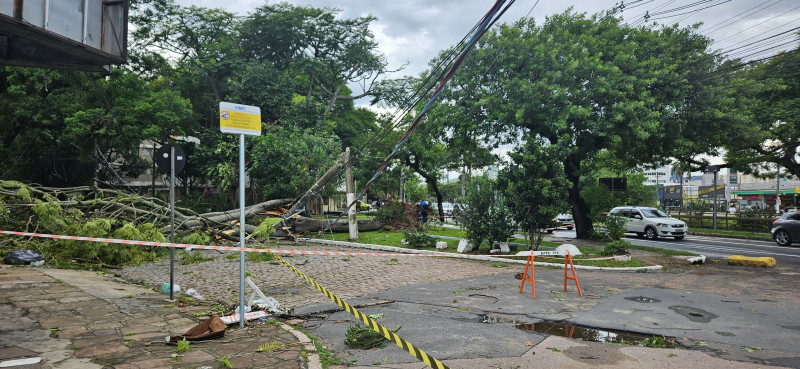 Em Porto Alegre, o temporal causou a queda de árvores em diversos pontos da cidade