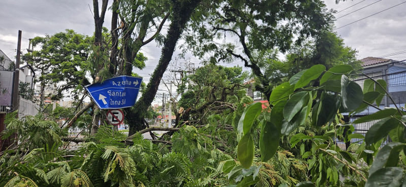 Em Porto Alegre, os ventos chegaram a 89 km/h e causaram estragos em várias ruas