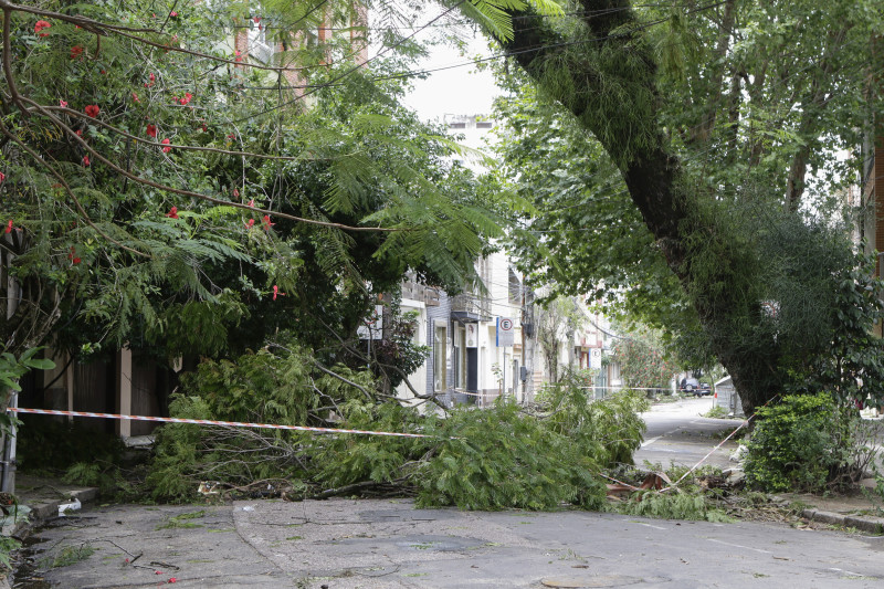 Queda de galhos e árvores atingiram a rede elétrica em quase toda a cidade