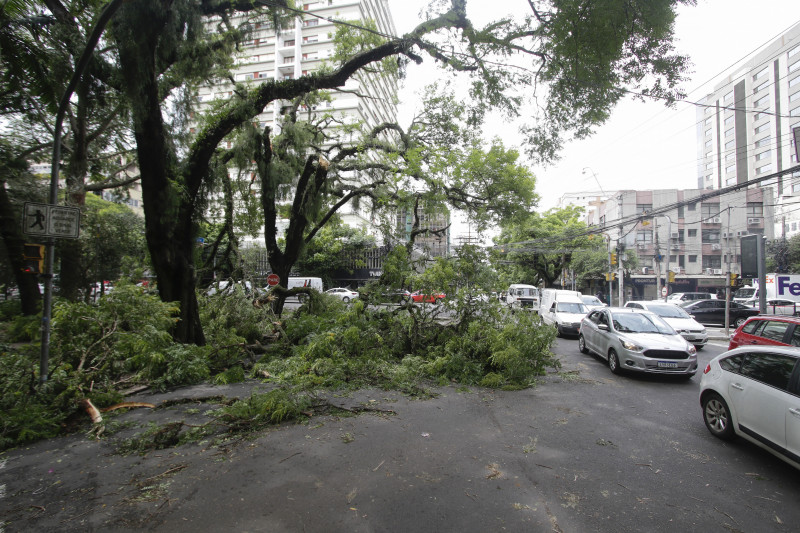 Chuvas causaram queda de 250 árvores e 143 bloqueios de vias; EPTC segue com desvios em diversas linhas de ônibus