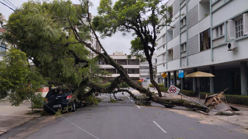 Na esquina da rua Dona Augusta com José de Alencar, no Menino Deus, árvore tombou na via