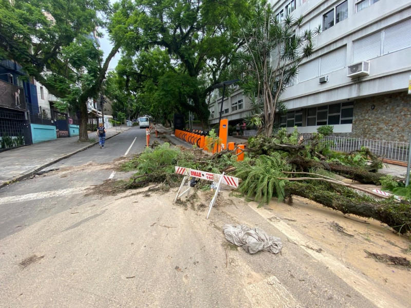 Temporal derrubou árvores e deixou milhares sem luz e água em Porto Alegre