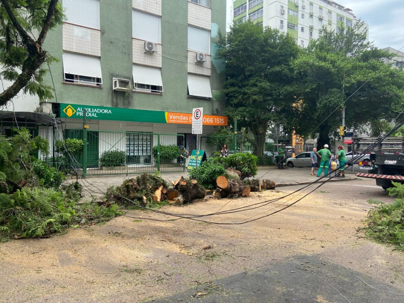 Queda de árvores e de poste de luz e fios prejudicaram a circulação na Capital