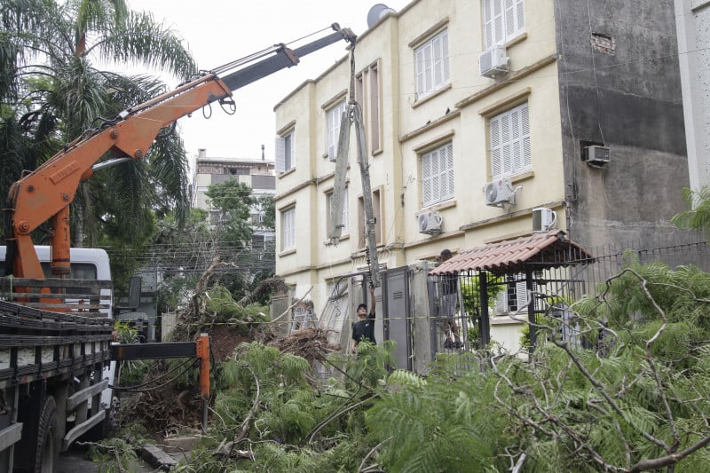 Prefeitura trabalha para remover árvores caídas das ruas da Capital