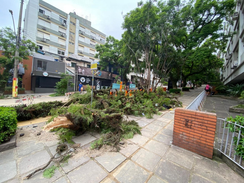 No bairro Bom Fim, ainda há troncos de árvores caídas em calçadas