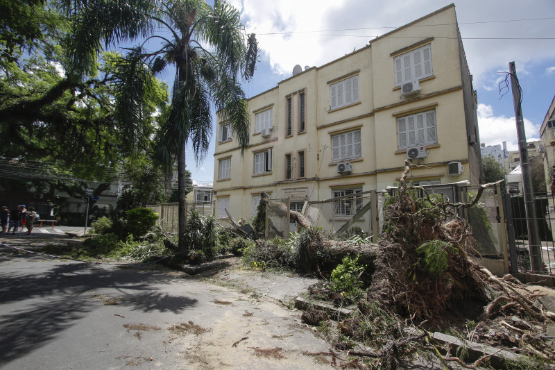 Na rua São Manoel, uma árvore caiu destruindo a grade de proteção do edifício