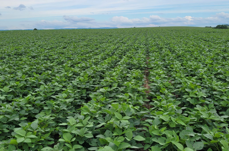 Governo anuncia R$ 400, 5 bilhões para agricultura empresarial e R$ 76 bilhões para agricultura familiar 