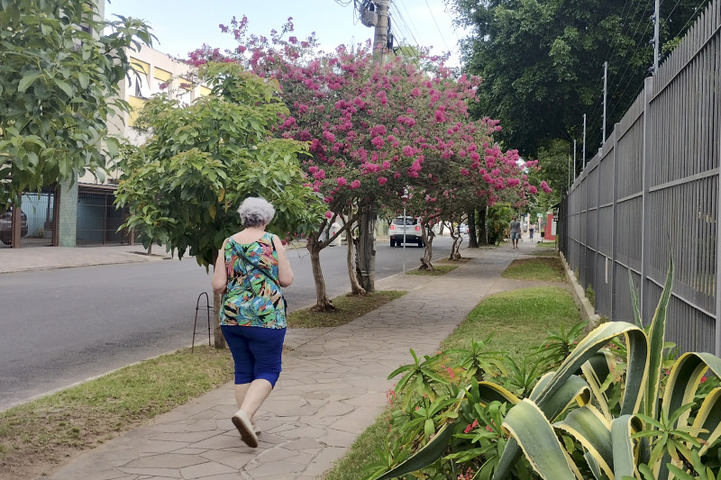 Floração da Extremosa se intensifica entre os meses de janeiro e fevereiro 