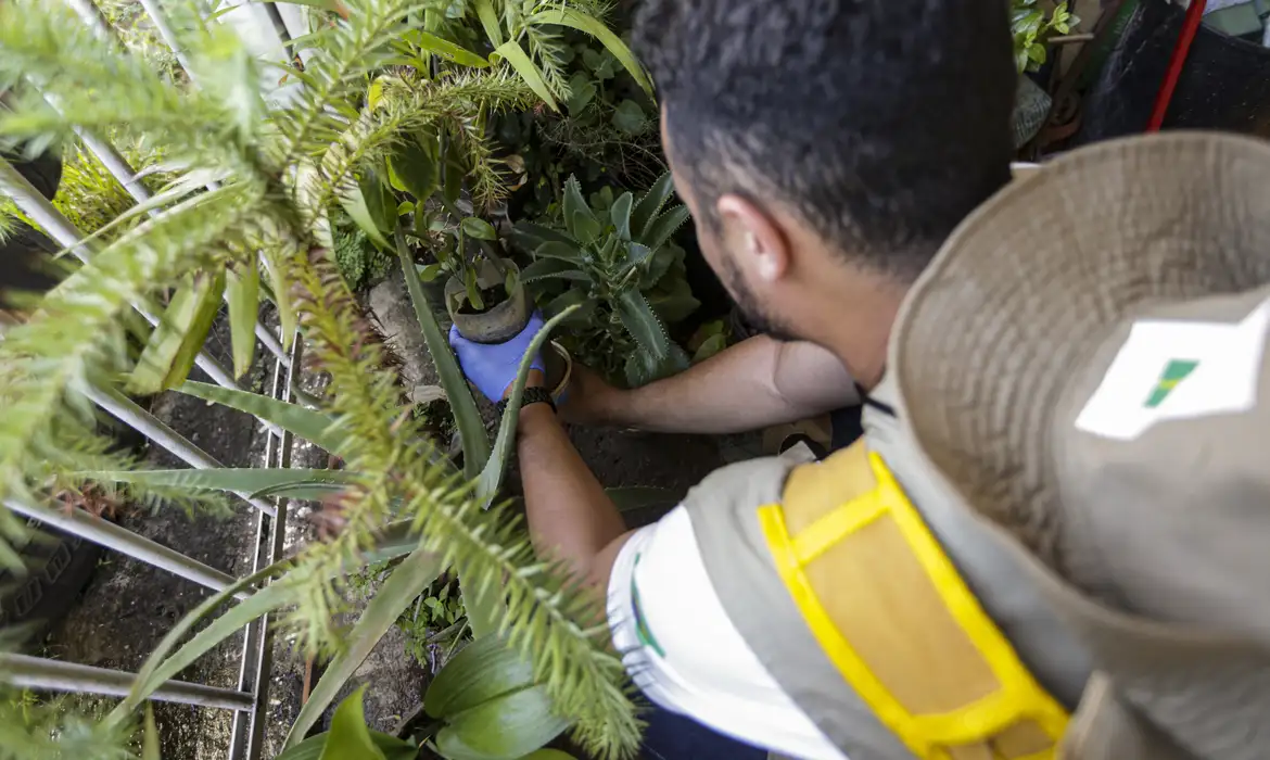 Dia D de Mobilização Contra a Dengue acontece em todo o País, neste sábado (2)