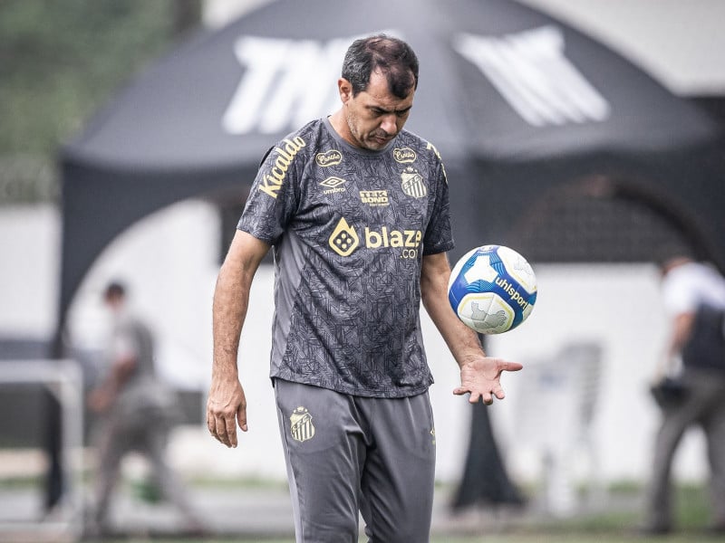 Fabio Carile tem a missão de recolocar equipe alvinegra na Série A do Brasileirão