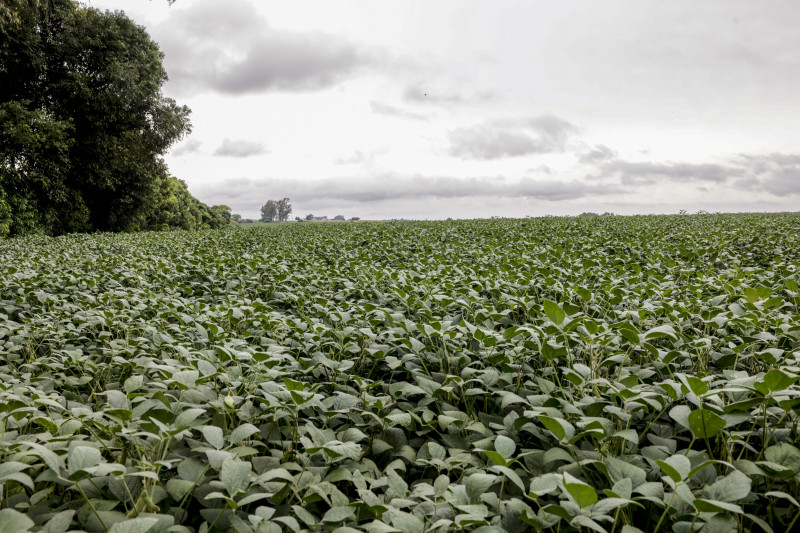 Cerca de 70 mil produtores rurais já contam com limites pré-aprovados para acesso às linhas 