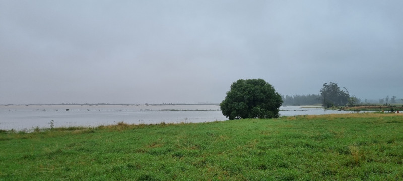 Lavouras da região Central e de outros pontos do Estado, como Nova Santa Rita (foto) estão alagadas