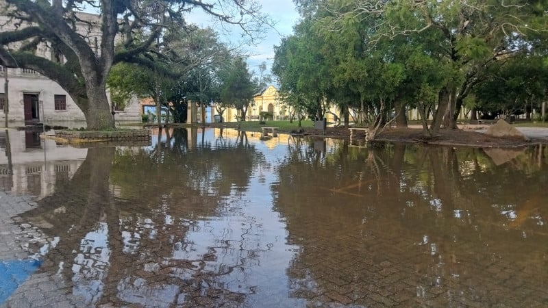 Decisão baseia-se na possibilidade de chuvas intensas e ventos entre 60 e 100 km/h