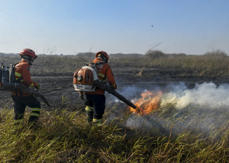 Entre janeiro e junho de 2024, a área queimada alcançou 627 mil hectares