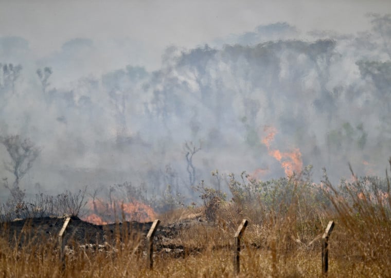 Estados terão que informar se há focos de incêndio sem combate em seus territórios