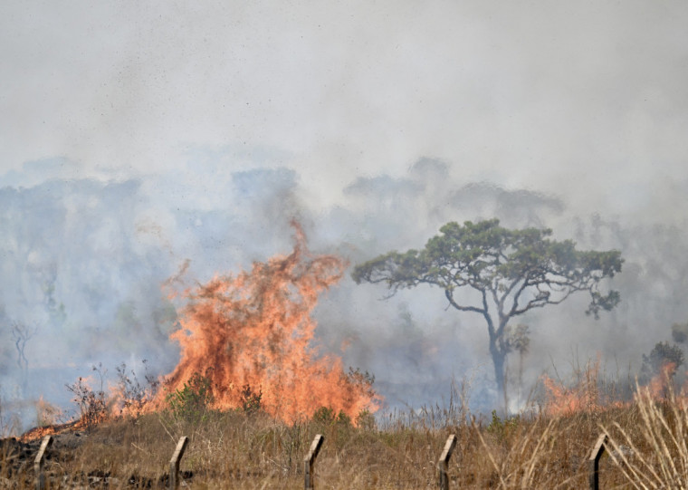 Incêndios atingem principalmente Norte, Centro-Oeste e Sudeste do Brasil; na foto, fogo em Brasília