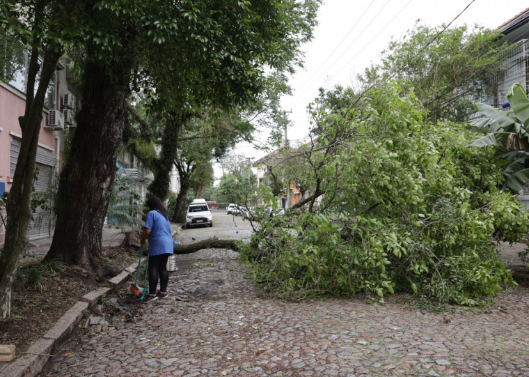 As rajadas de vento provocaram queda de árvores e galhos em várias vias